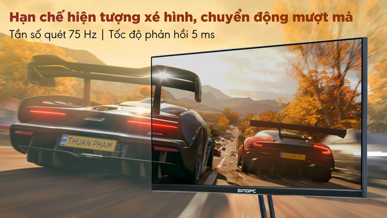 Màn hình SingPC - Kích thước màn hình: 22