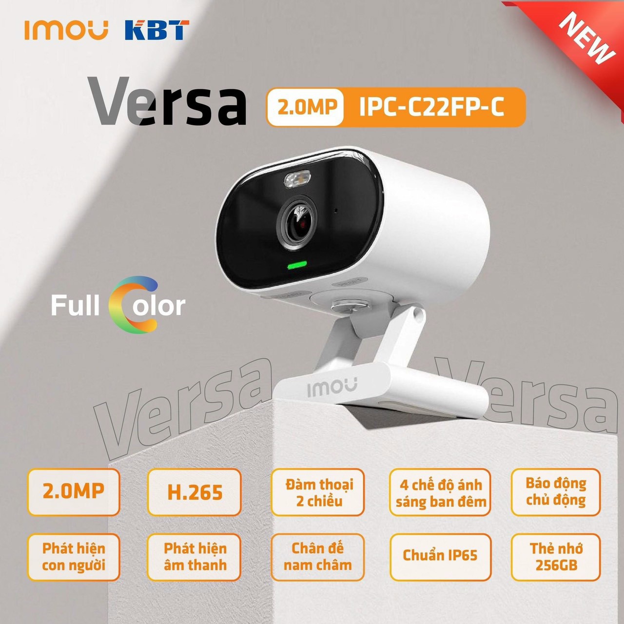 CAMERA IP WIFI FULL COLOR 2.0MP